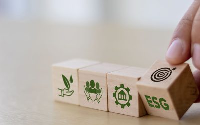 O anti-ESG flopou?