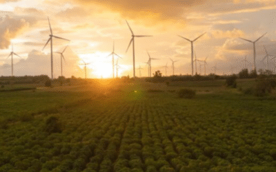 COP30 e empresas: por que (e como) as empresas devem ocupar o evento