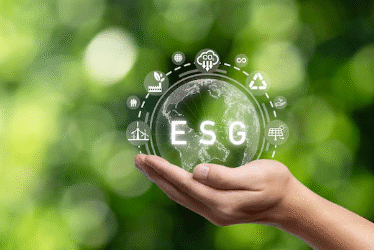 Por que a avaliação de materialidade é o ponto de partida para a sustentabilidade corporativa