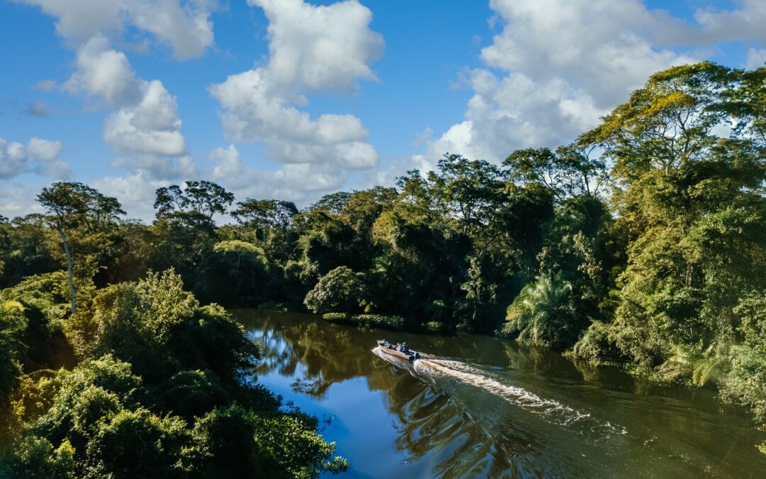 COP30 no Brasil: Tudo que Você Precisa Saber sobre a Cúpula de Belém