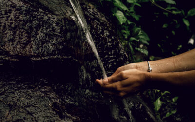 O “E” essencial – Water Stewardship: Por que a segurança hídrica se tornou um ativo estratégico para os negócios