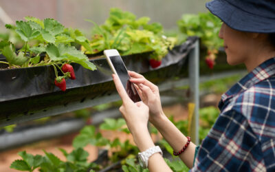 Agricultura Regenerativa: o novo padrão para o agronegócio sustentável